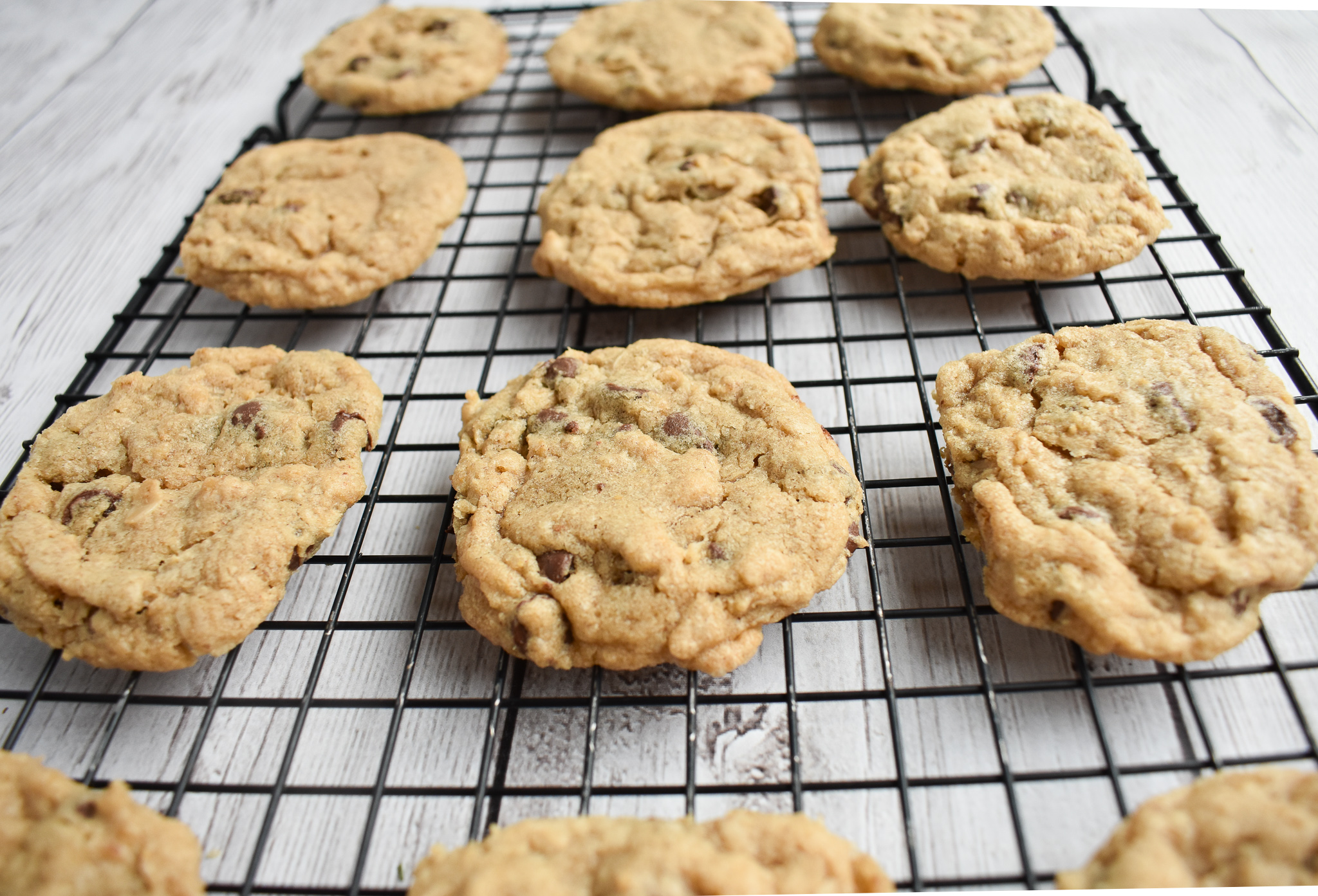 Chewy LowFODMAP Oatmeal Cookies; Glutenfree, Dairyfree Rachel