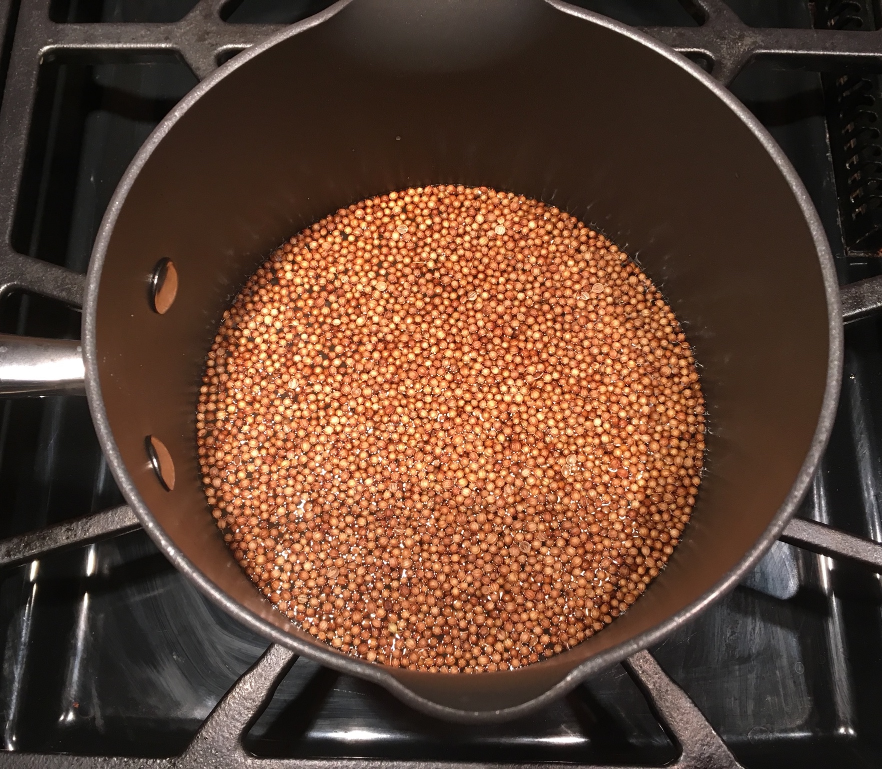 Top Shelf LowFODMAP Gin Fizz with Coriander Syrup; Glutenfree, Vegan