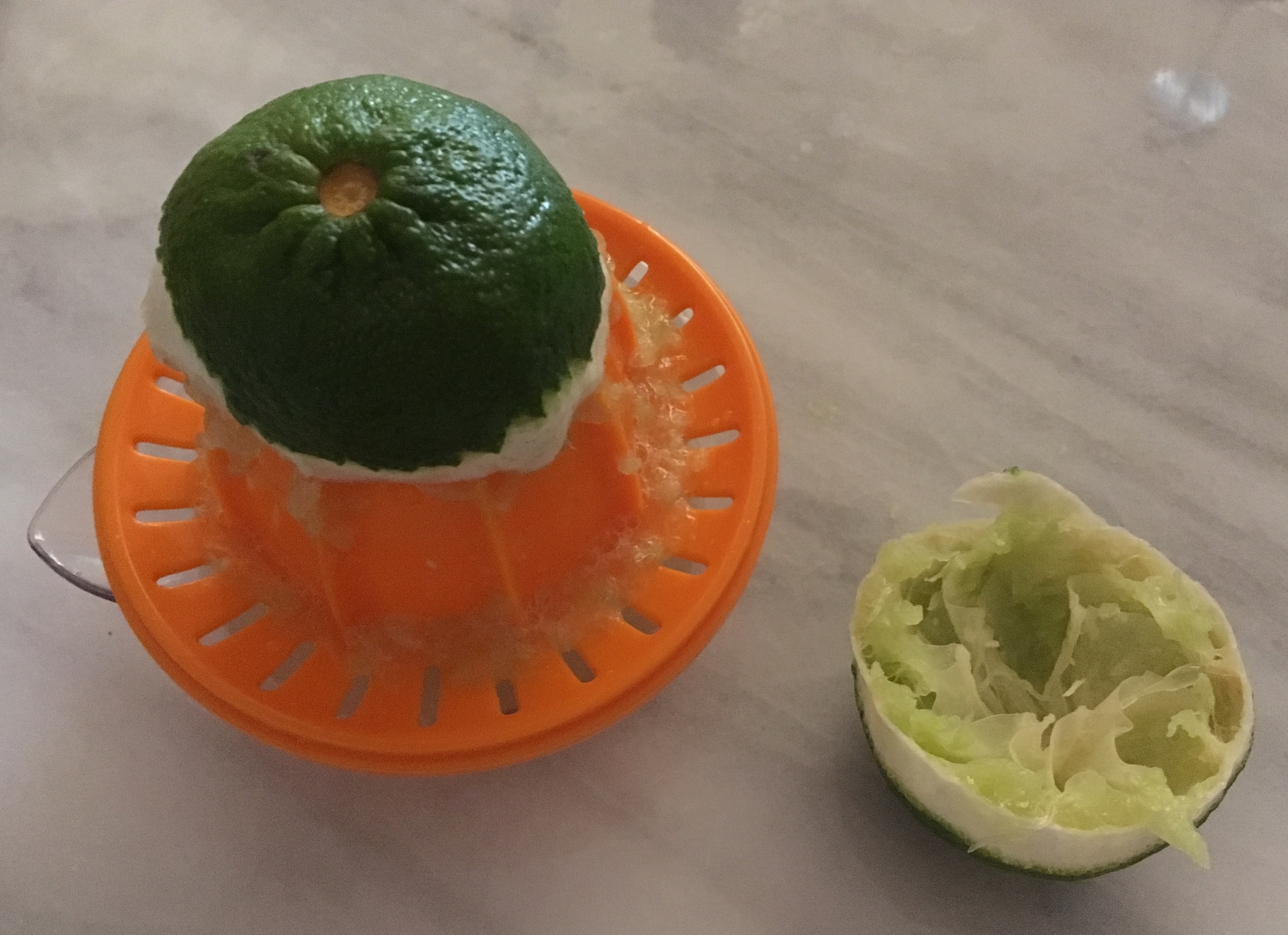 Top Shelf LowFODMAP Gin Fizz with Coriander Syrup; Glutenfree, Vegan